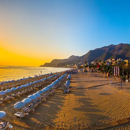 Moonflower Aparts & 4*