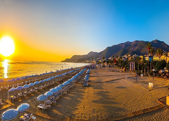 Moonflower Aparts & 4*